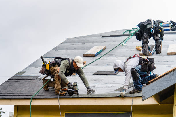 Professional Gutter Installation technician working in Holden, MO